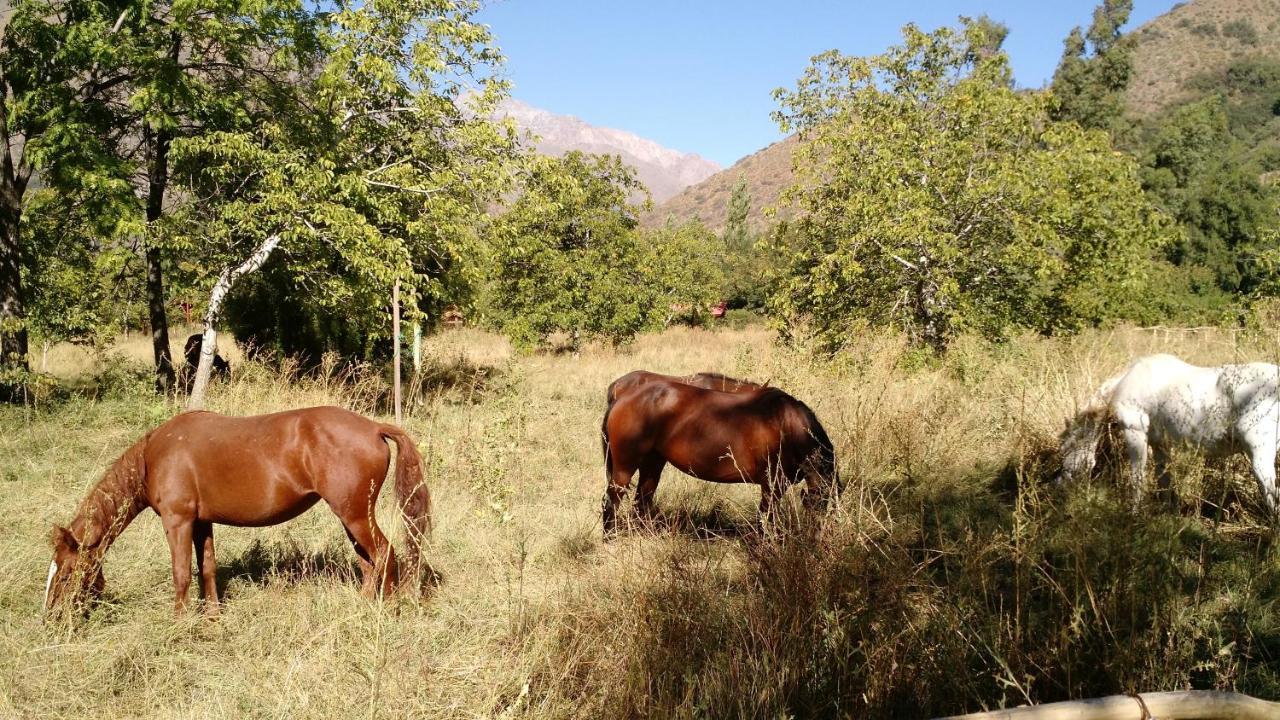 Cascada Lodge Cajon Del Maipo San José de Maipo Εξωτερικό φωτογραφία